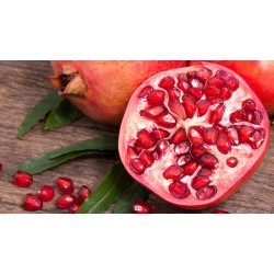 Punica granatum  - Rodie 