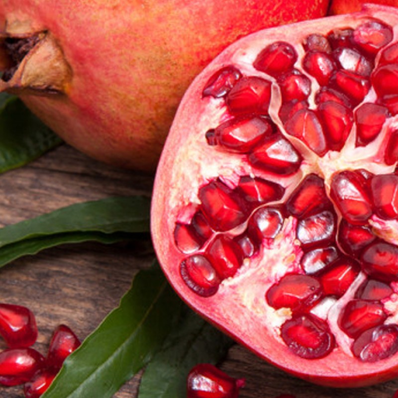 Punica granatum  - Rodie 