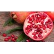 Punica granatum  - Rodie 